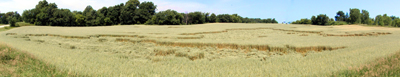 The crop circle that wasn't